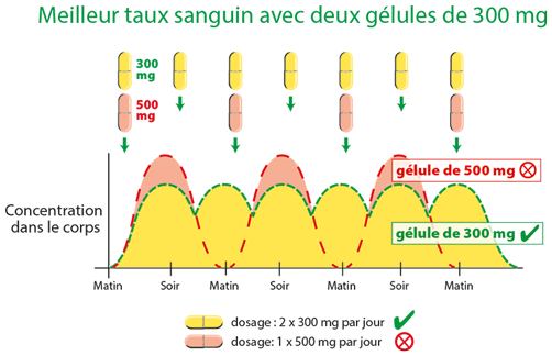 Bioverfügbarkeit von Quercetin